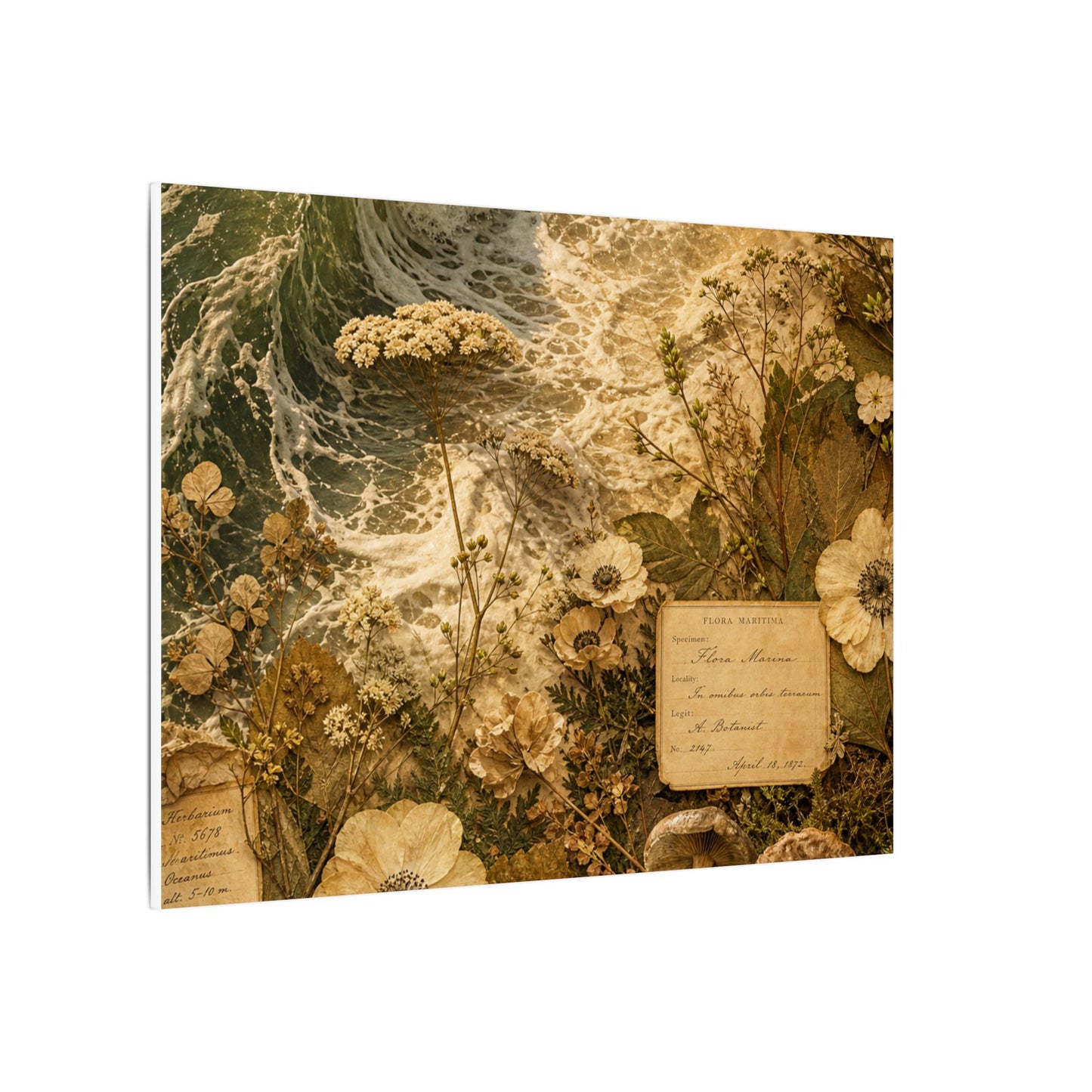 Spring Ocean Wave Herbarium Canvas Art | Nostalgic Decor