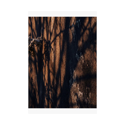 Shadow Play Wall Art Print | Winter Dark Japandi Moody Minimal Art
