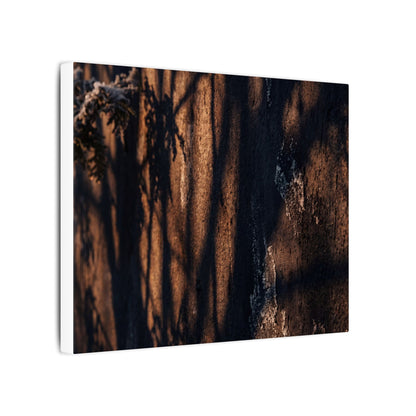Golden Hour Shadow Play Canvas Art - Dark Japandi Fukinsei