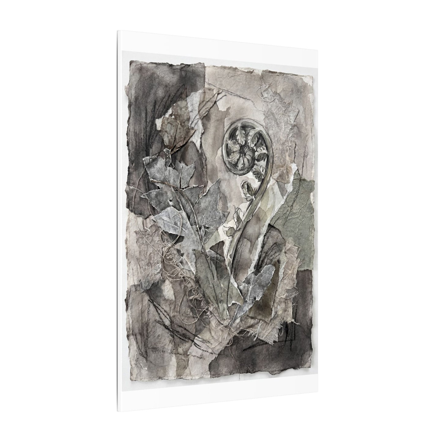 Japandi Fern Unfurling in Overcast | Texture Canvas Art