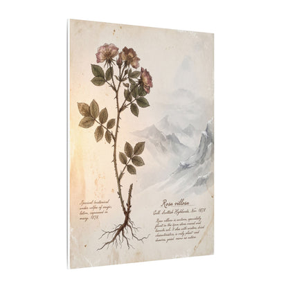 Winter Mountain Mist Herbarium Canvas Art | Earthy Decor