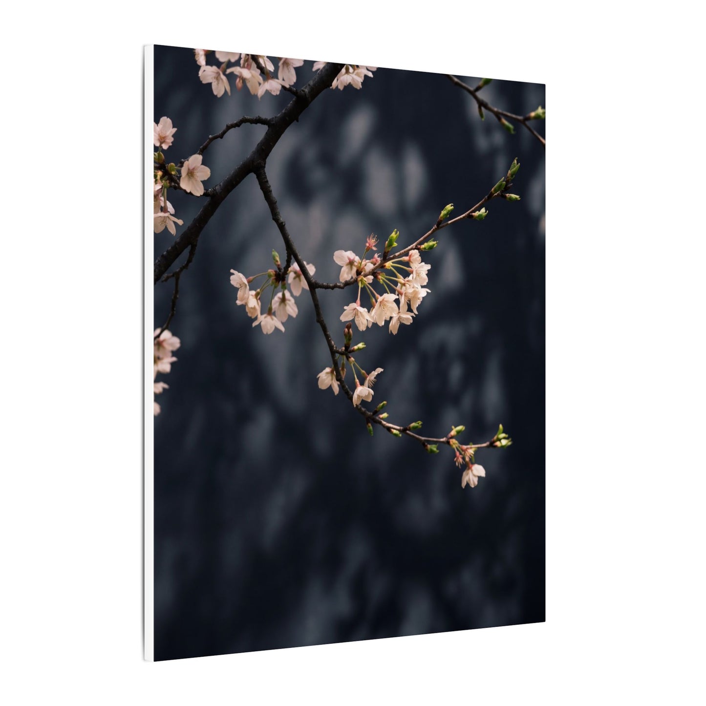 Cherry Blossom Moody Minimal Canvas Art | Bold Dark Japandi Art