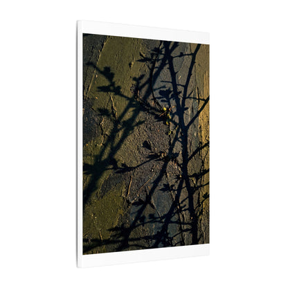 Kanso Shadow Play Canvas Art - Dark Japandi Dark Texture