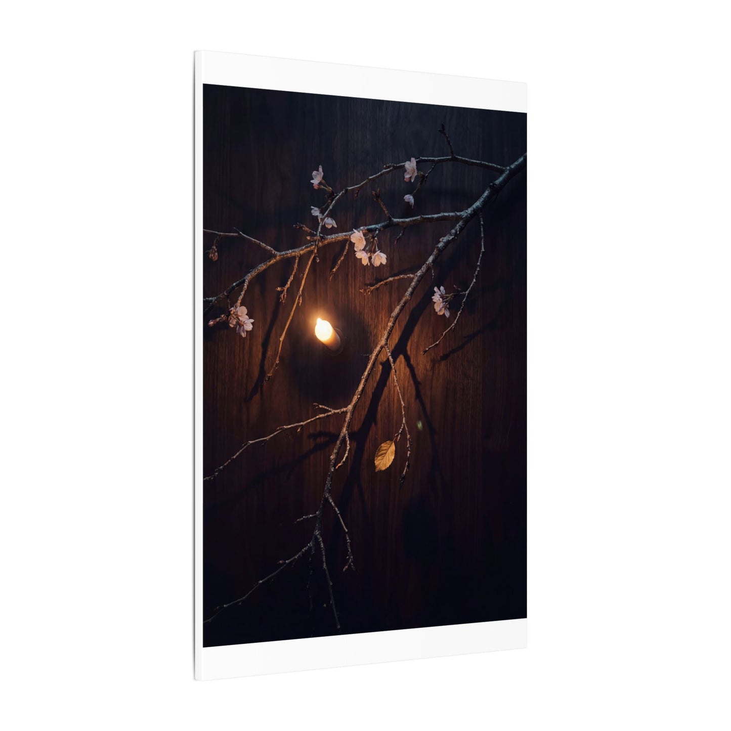 Datsuzoku Cherry Blossom Canvas Art - Dark Japandi Moody Minimal