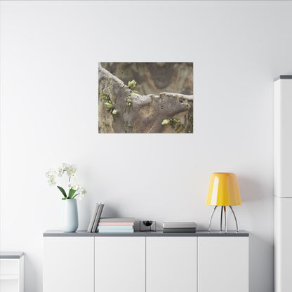 Overcast Ceramic Bowl Canvas Art - Japandi Fukinsei