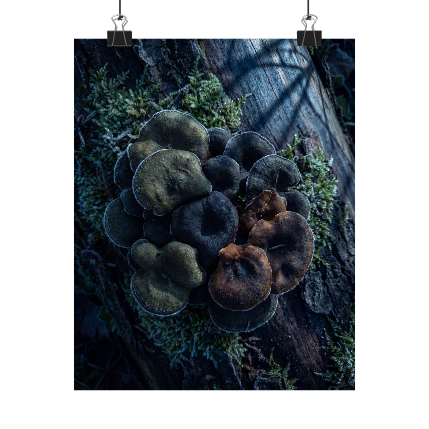 Moonlight Wild Mushrooms Wall Art Print - Dark Japandi Shibui Art Print