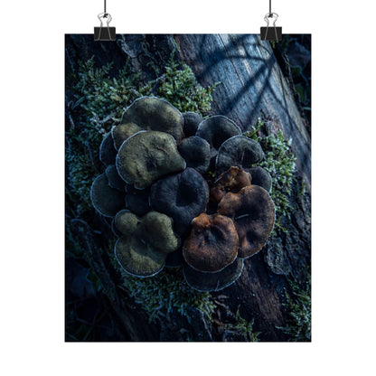 Moonlight Wild Mushrooms Wall Art Print - Dark Japandi Shibui Art Print