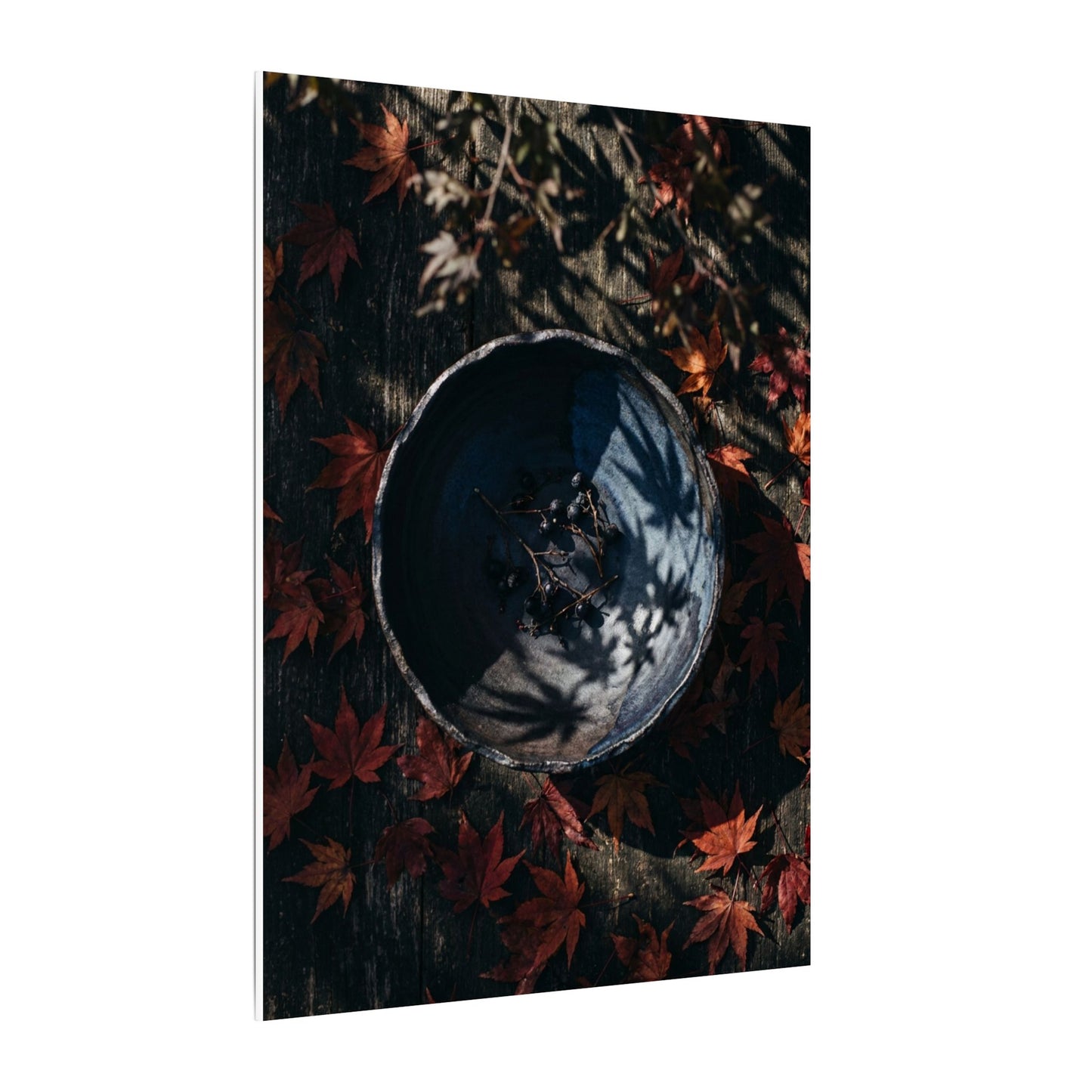 Autumn Ceramic Bowl Shadow Zen Canvas Art | Bold Decor