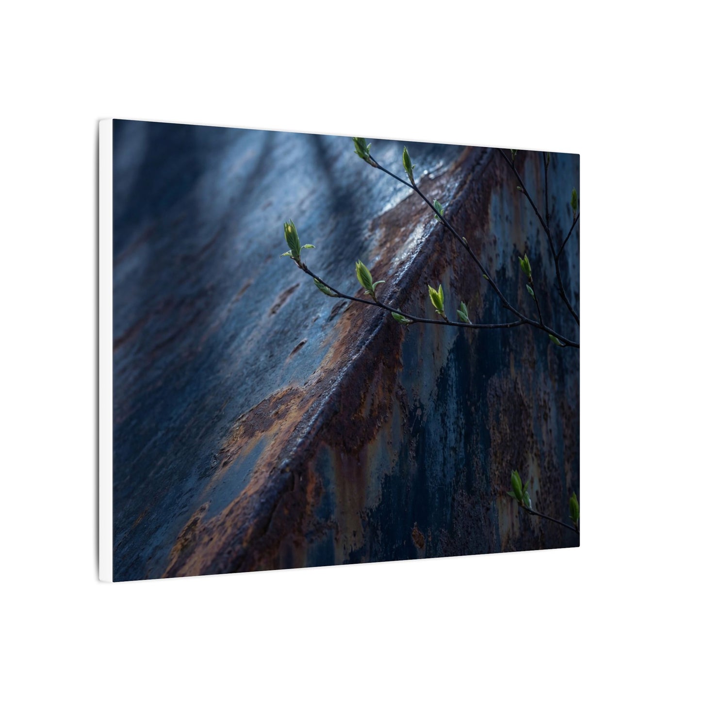 Rust Patina Canvas Art | Spring Dark Japandi Shadow Zen Art