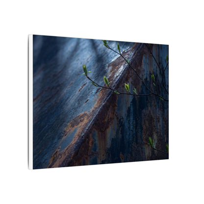 Rust Patina Canvas Art | Spring Dark Japandi Shadow Zen Art