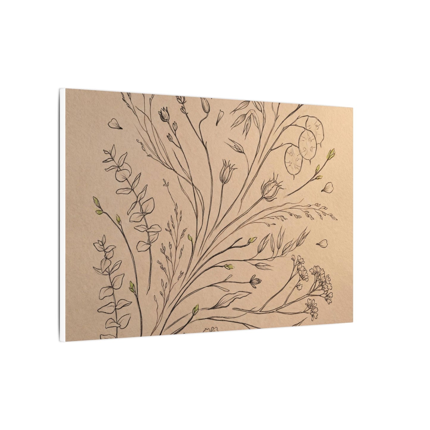 Dried Flowers Canvas Art | Spring Japandi Minimal Line Art