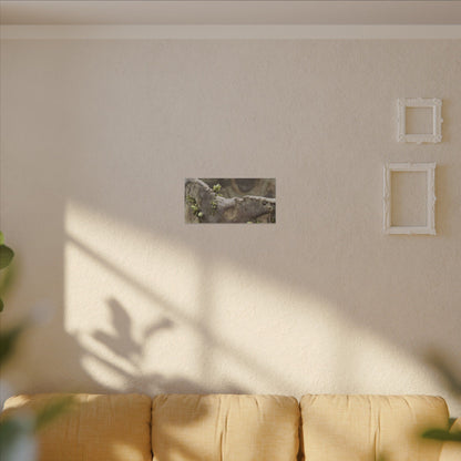 Overcast Ceramic Bowl Canvas Art - Japandi Fukinsei