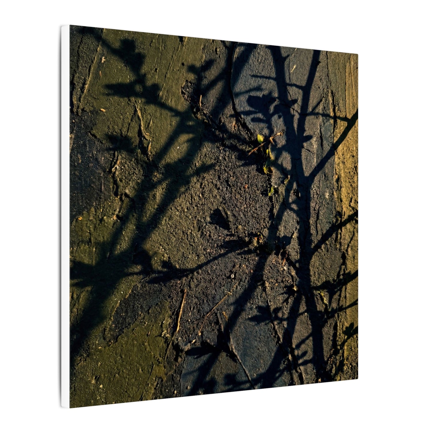 Kanso Shadow Play Canvas Art - Dark Japandi Dark Texture