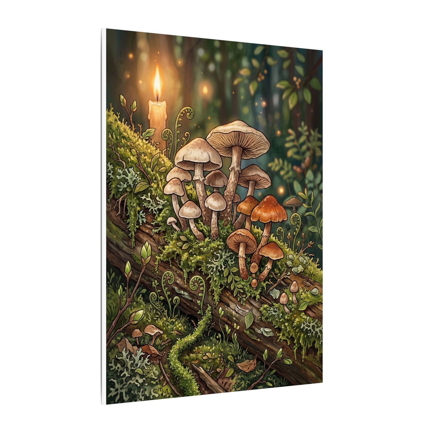 Spring Wild Mushrooms Herbarium Canvas Art | Rustic Decor