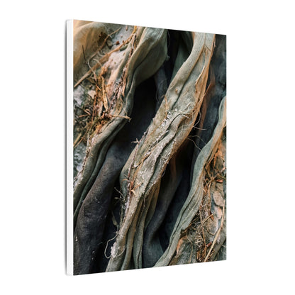 Silk Drape Winter Canvas Art | Japandi Cozy Design