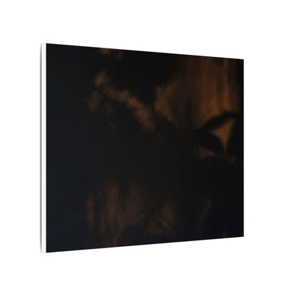Shadow Play Summer Canvas Art | Dark Japandi Sophisticated Design