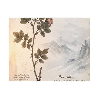 Winter Mountain Mist Herbarium Canvas Art | Earthy Decor
