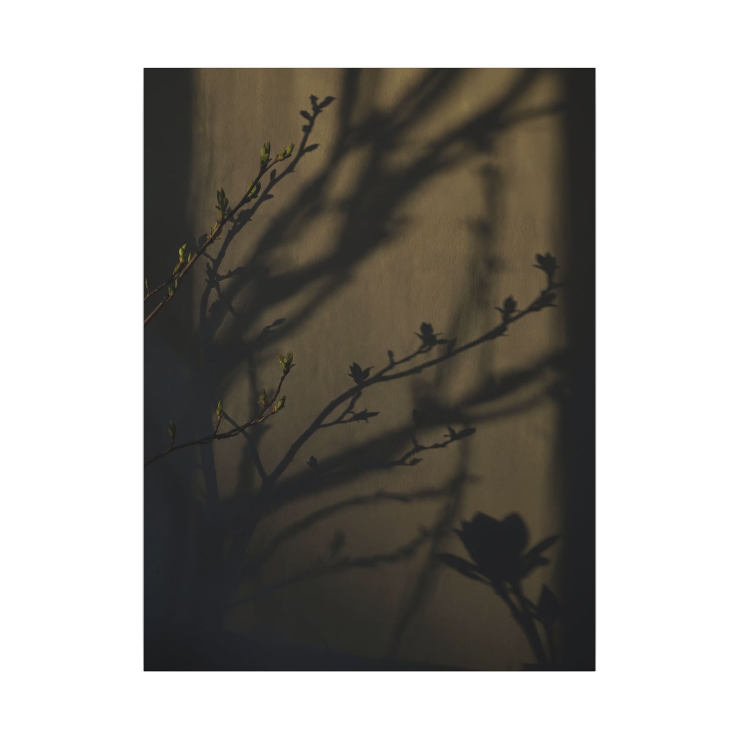 Seijaku Shadow Play Canvas Art - Dark Japandi Charcoal Ink