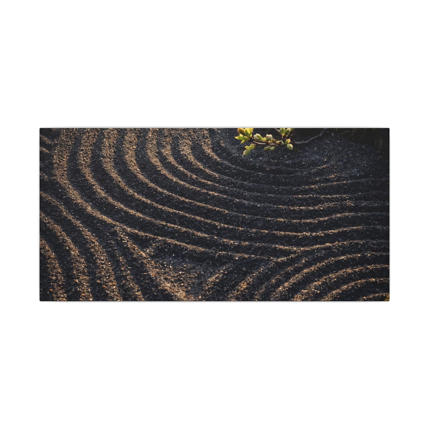 Spring Rock Garden Shadow Zen Canvas Art | Atmospheric Decor