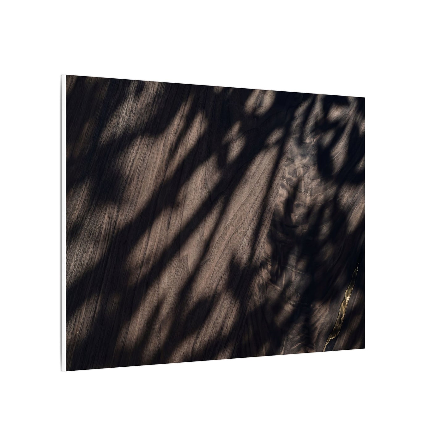 Shadow Play Summer Canvas Art | Dark Japandi Moody Design