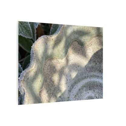 Dappled Ceramic Bowl Canvas Art - Japandi Seijaku