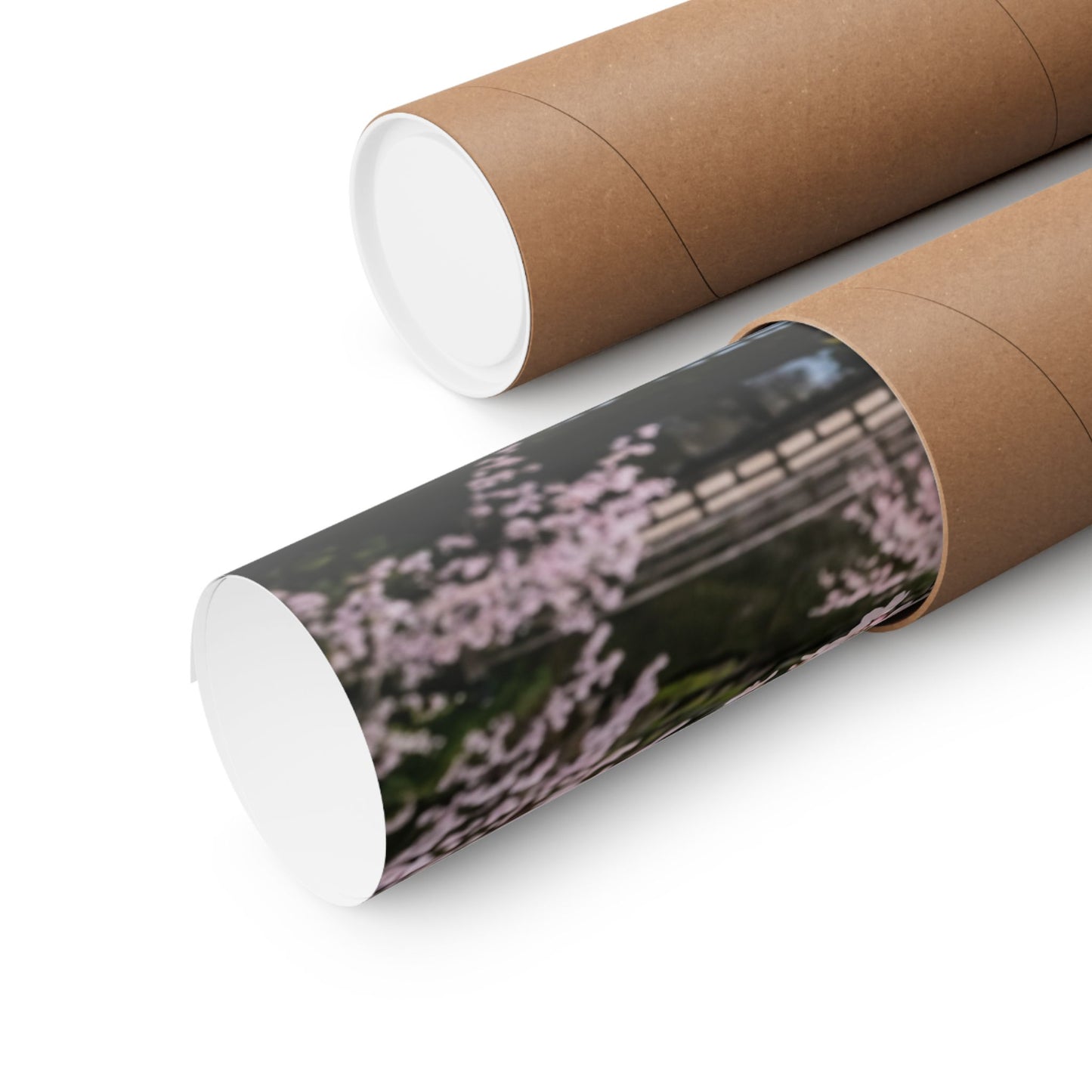 Cherry Blossom Winter Wall Art Print | Dark Japandi Bold Design Art Print