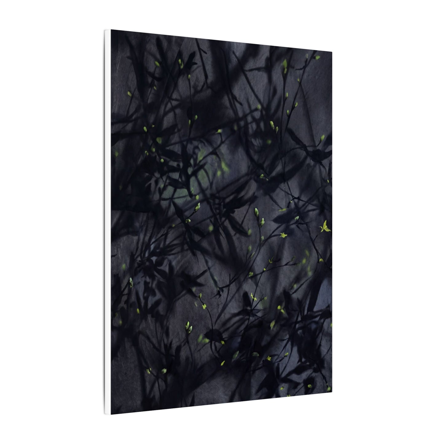 Shadow Play Spring Canvas Art | Dark Japandi Atmospheric Design