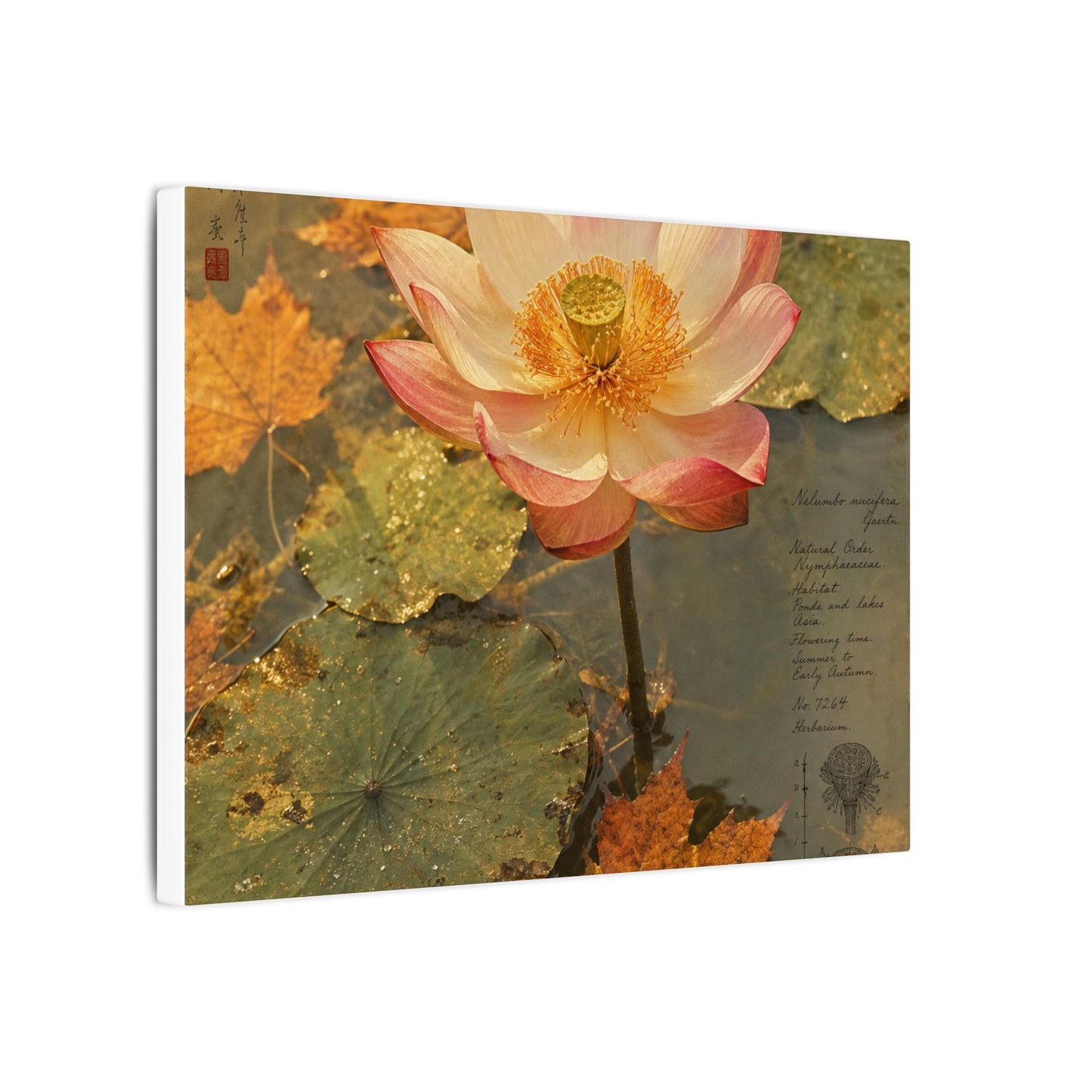 Autumn Lotus Flower Herbarium Canvas Art | Rustic Decor