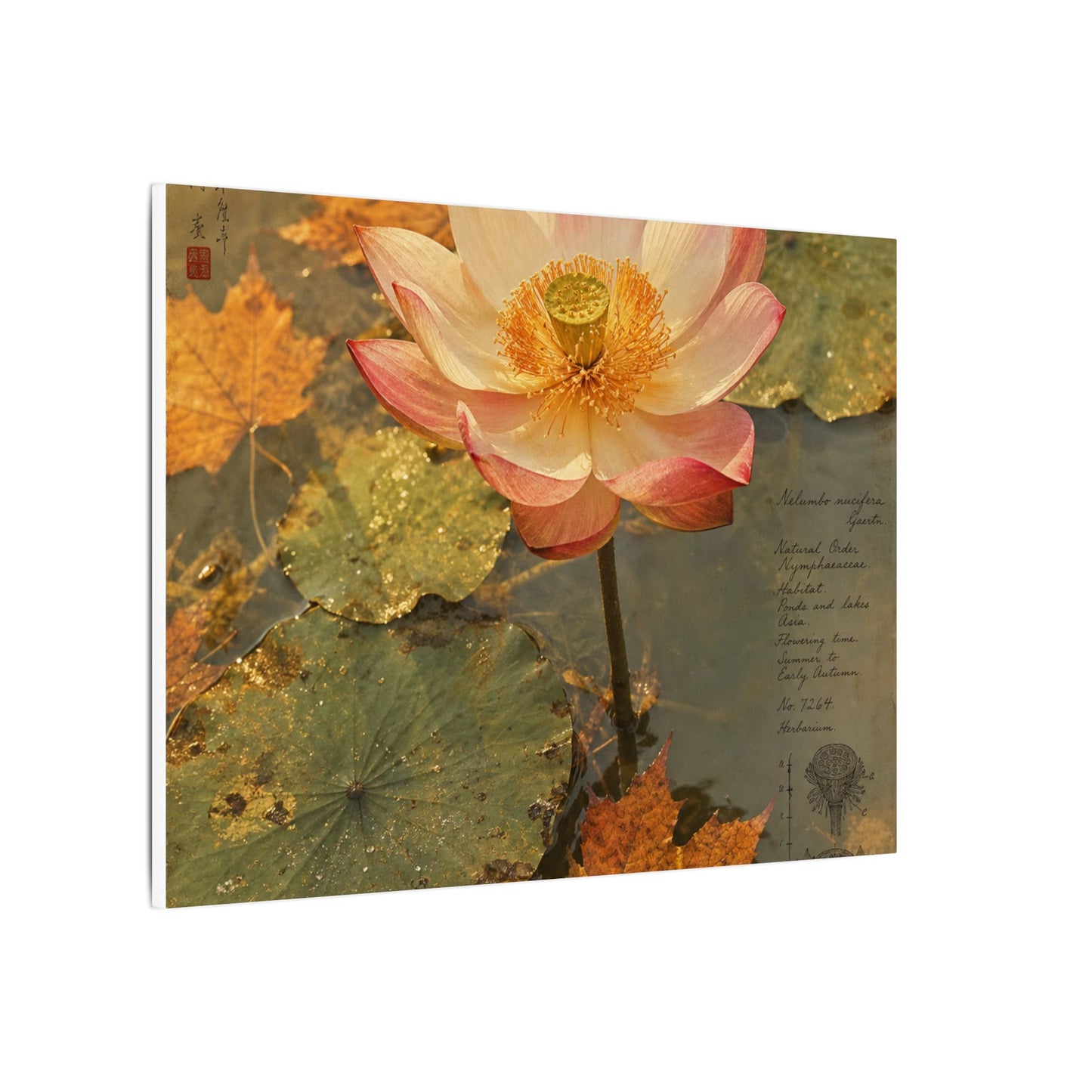 Autumn Lotus Flower Herbarium Canvas Art | Rustic Decor