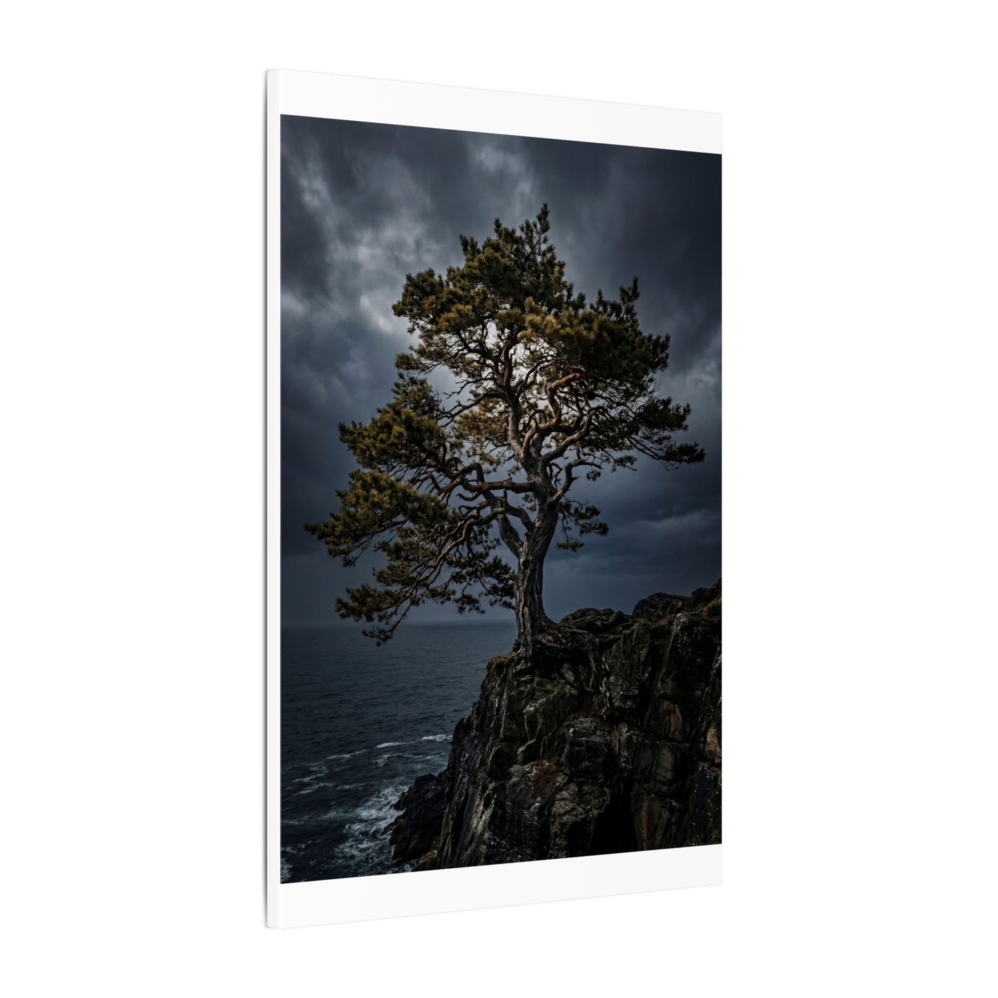 Dappled Pine Tree Canvas Art - Dark Japandi Fukinsei