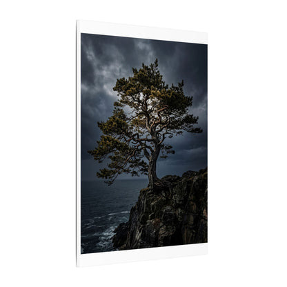 Dappled Pine Tree Canvas Art - Dark Japandi Fukinsei