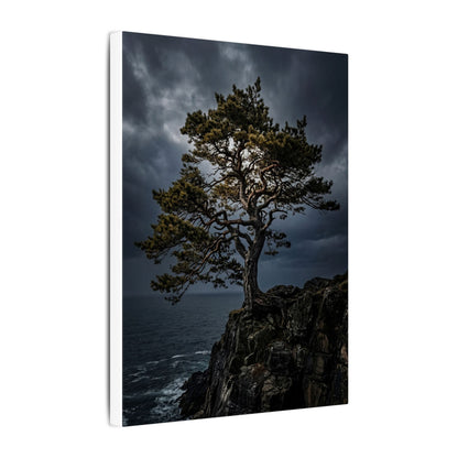 Dappled Pine Tree Canvas Art - Dark Japandi Fukinsei