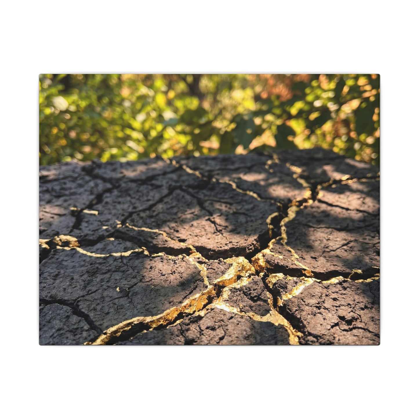 Shibui Cracked Earth Canvas Art - Kintsugi Gold Repair