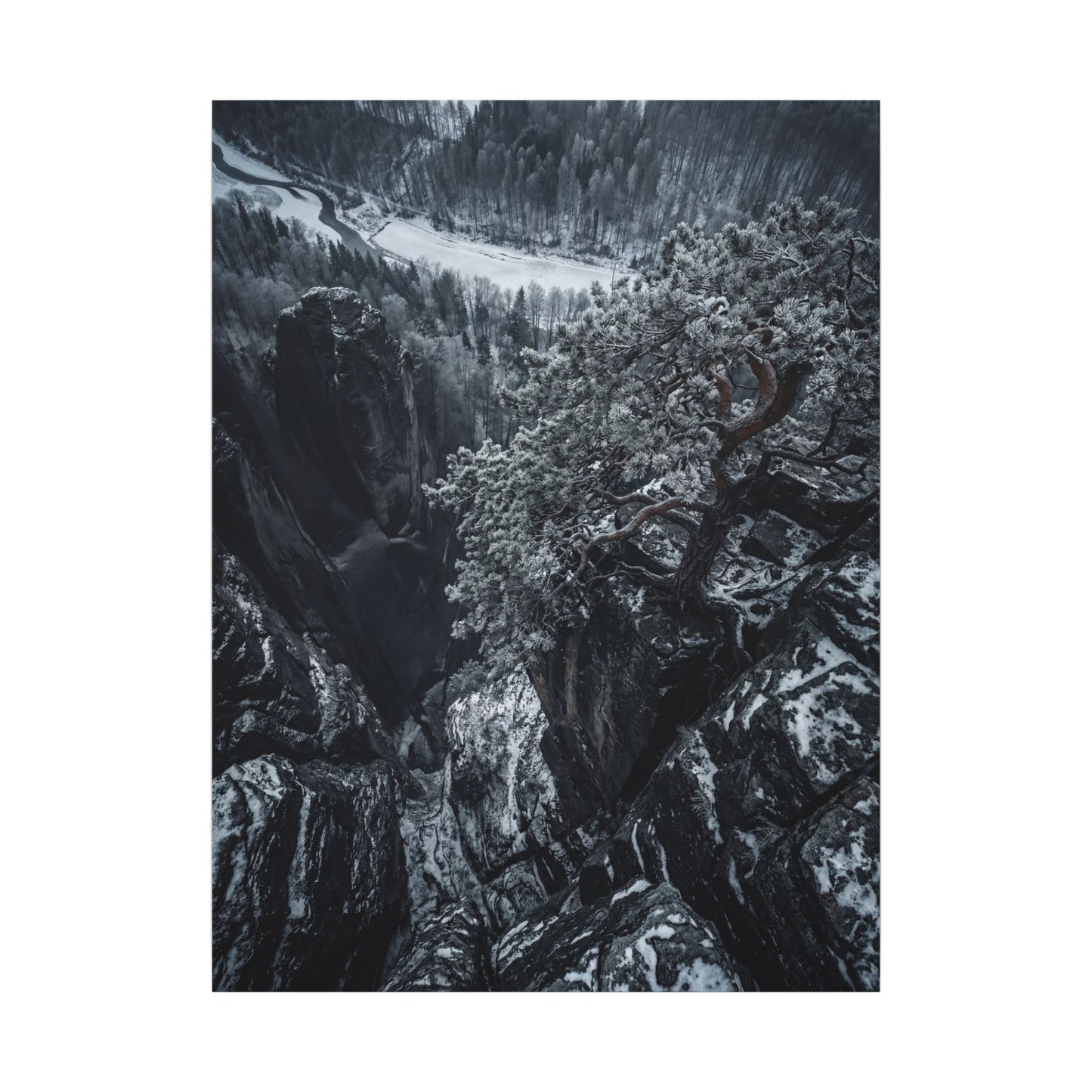 Dark Japandi Pine Tree in Dappled | Dark Texture Canvas Art