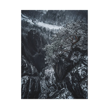 Dark Japandi Pine Tree in Dappled | Dark Texture Canvas Art