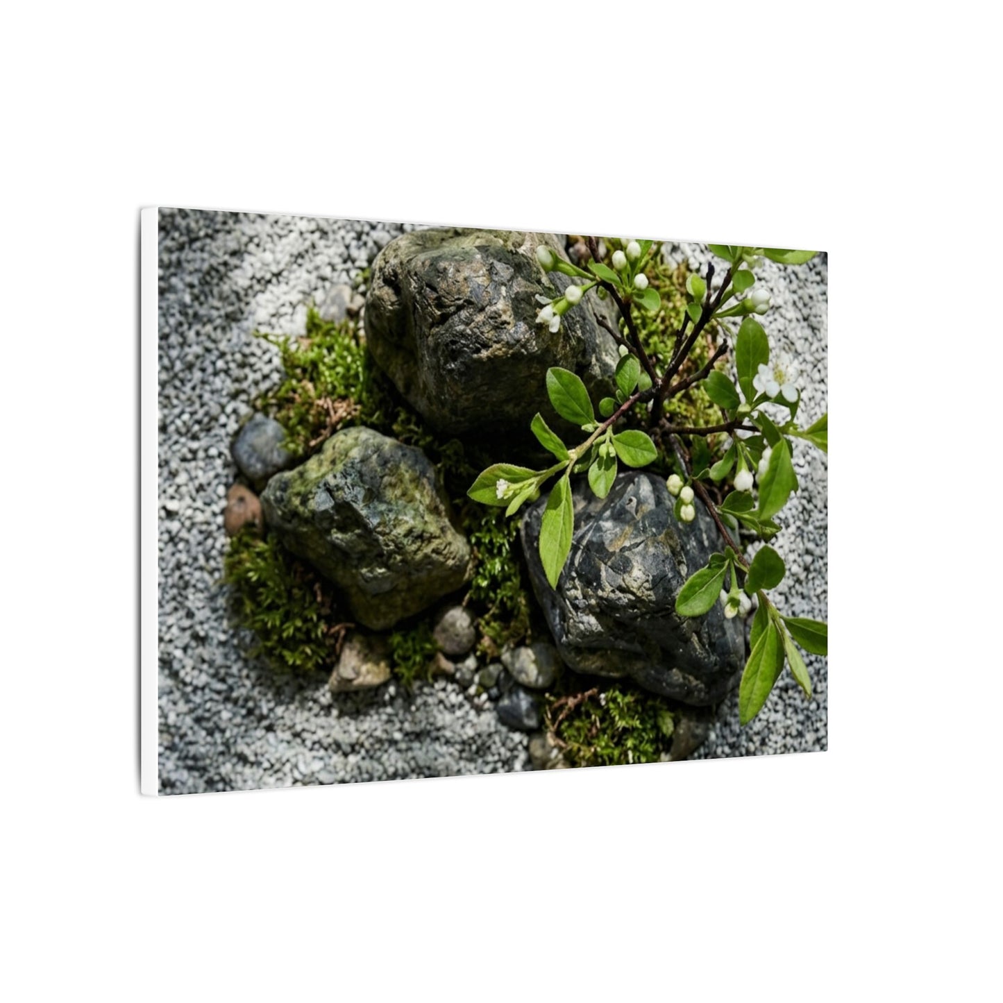 Zen Ceramic Bowl in Dappled | Karesansui Canvas Art