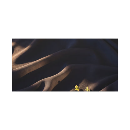 Silk Drape Shadow Zen Canvas Art | Luxurious Dark Japandi Art