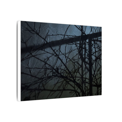 Moonlight Shadow Play Canvas Art - Dark Japandi Shibui