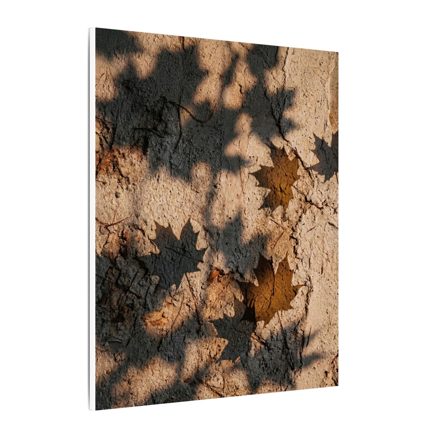 Cozy Shadow Play Canvas Art - Texture Japandi