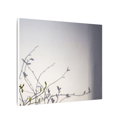 Japandi Shadow Play in Dawn | Japanese Pattern Canvas Art
