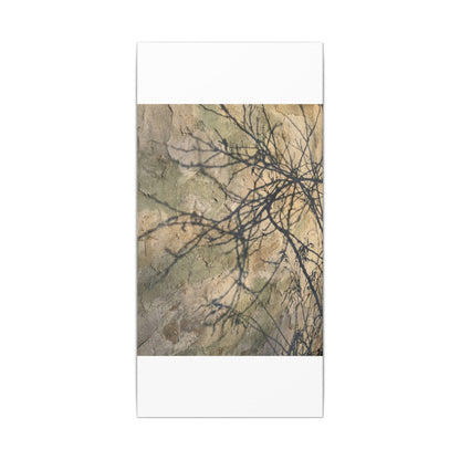 Japandi Shadow Play in Golden Hour | Texture Canvas Art