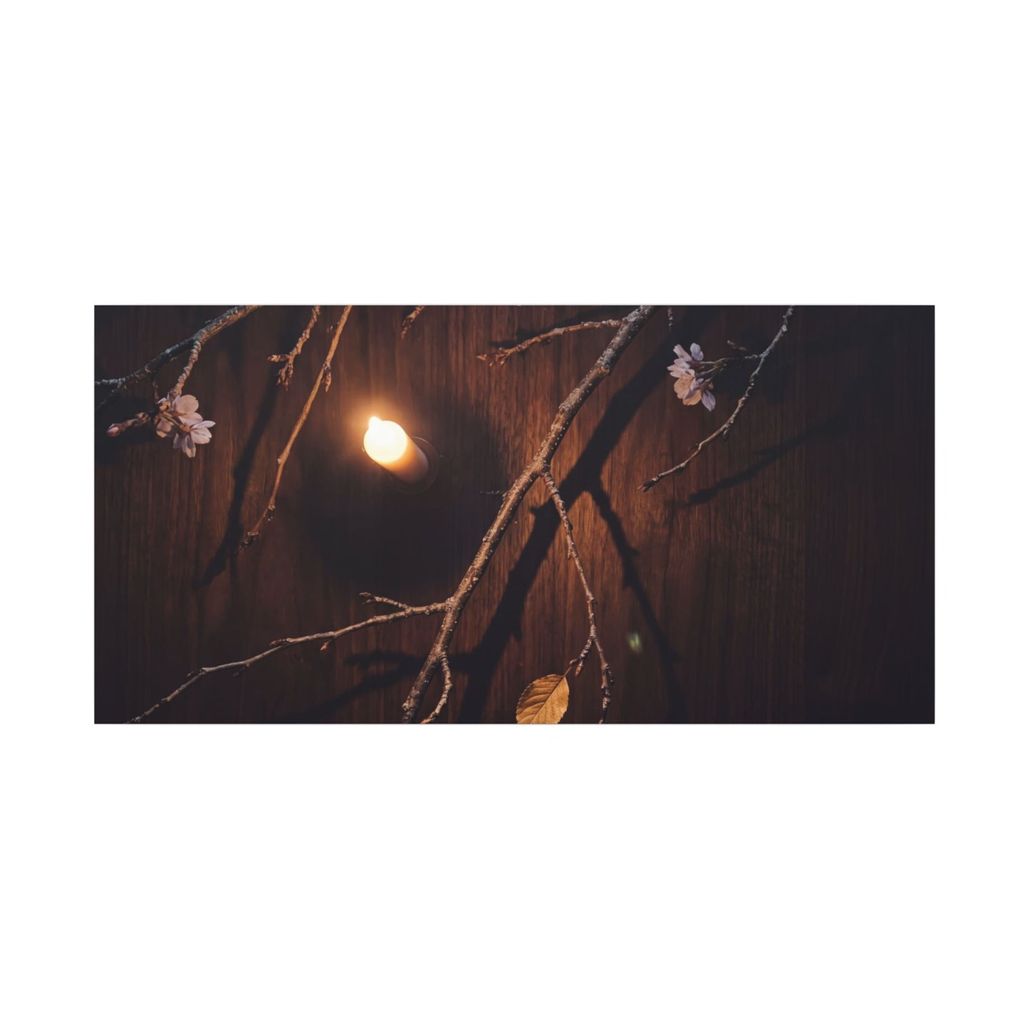 Datsuzoku Cherry Blossom Canvas Art - Dark Japandi Moody Minimal
