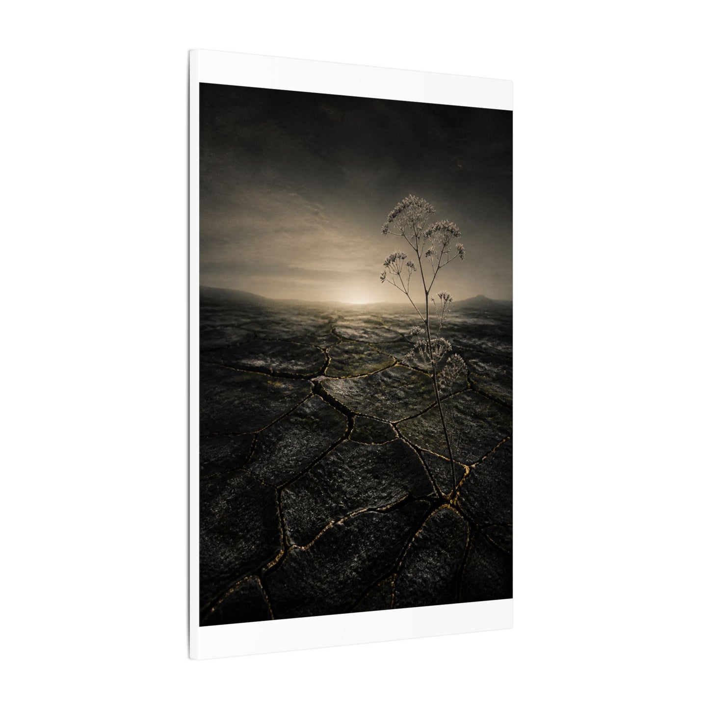 Dawn Cracked Earth Canvas Art - Dark Japandi Mono No Aware
