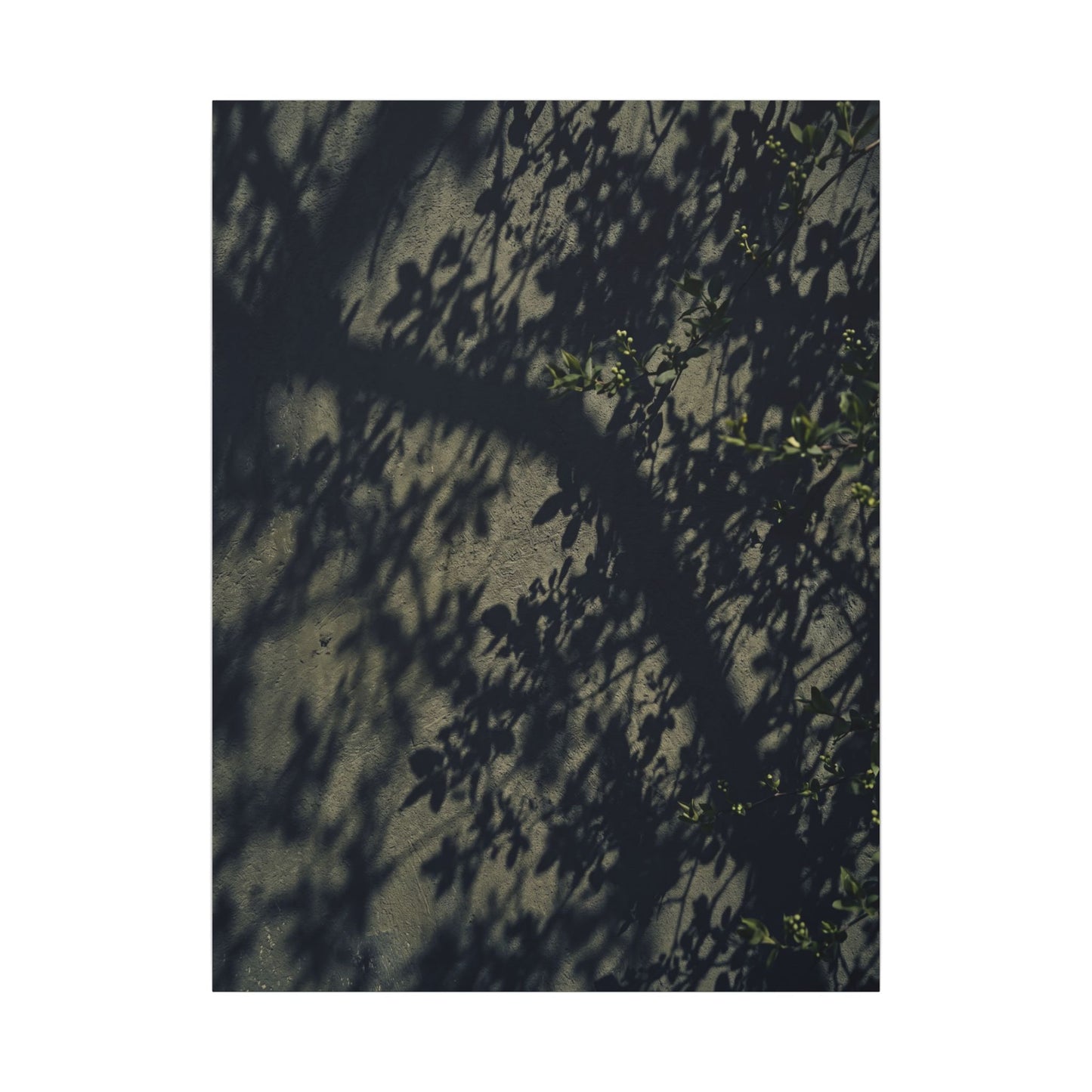 Atmospheric Shadow Play Canvas Art - Moody Minimal Dark Japandi