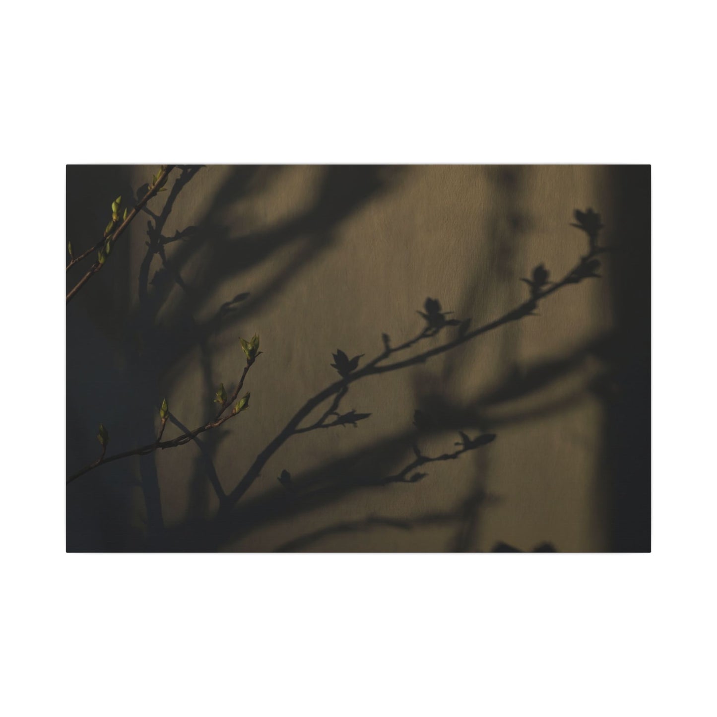 Seijaku Shadow Play Canvas Art - Dark Japandi Charcoal Ink
