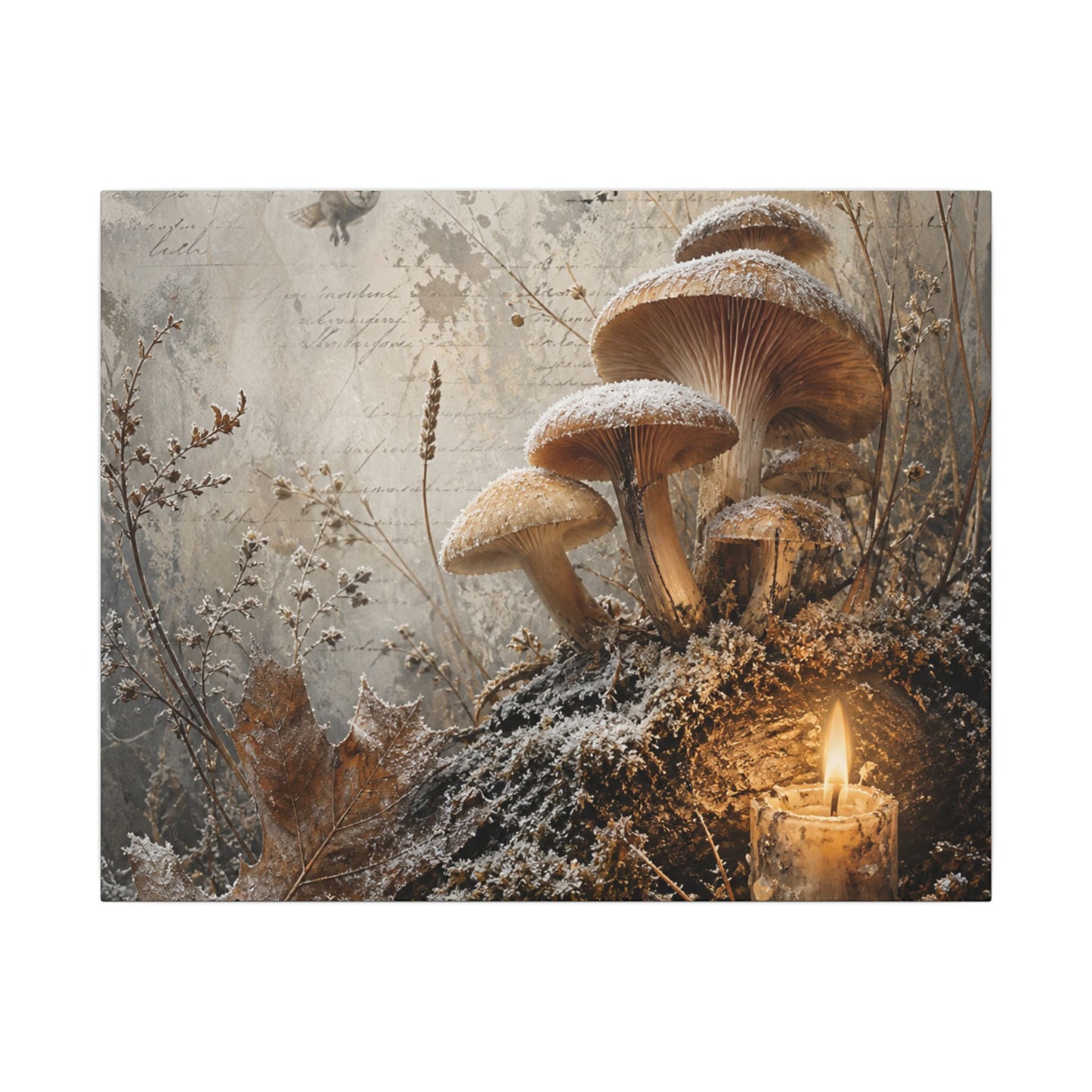 Wild Mushrooms Texture Canvas Art | Elegant Japandi Art