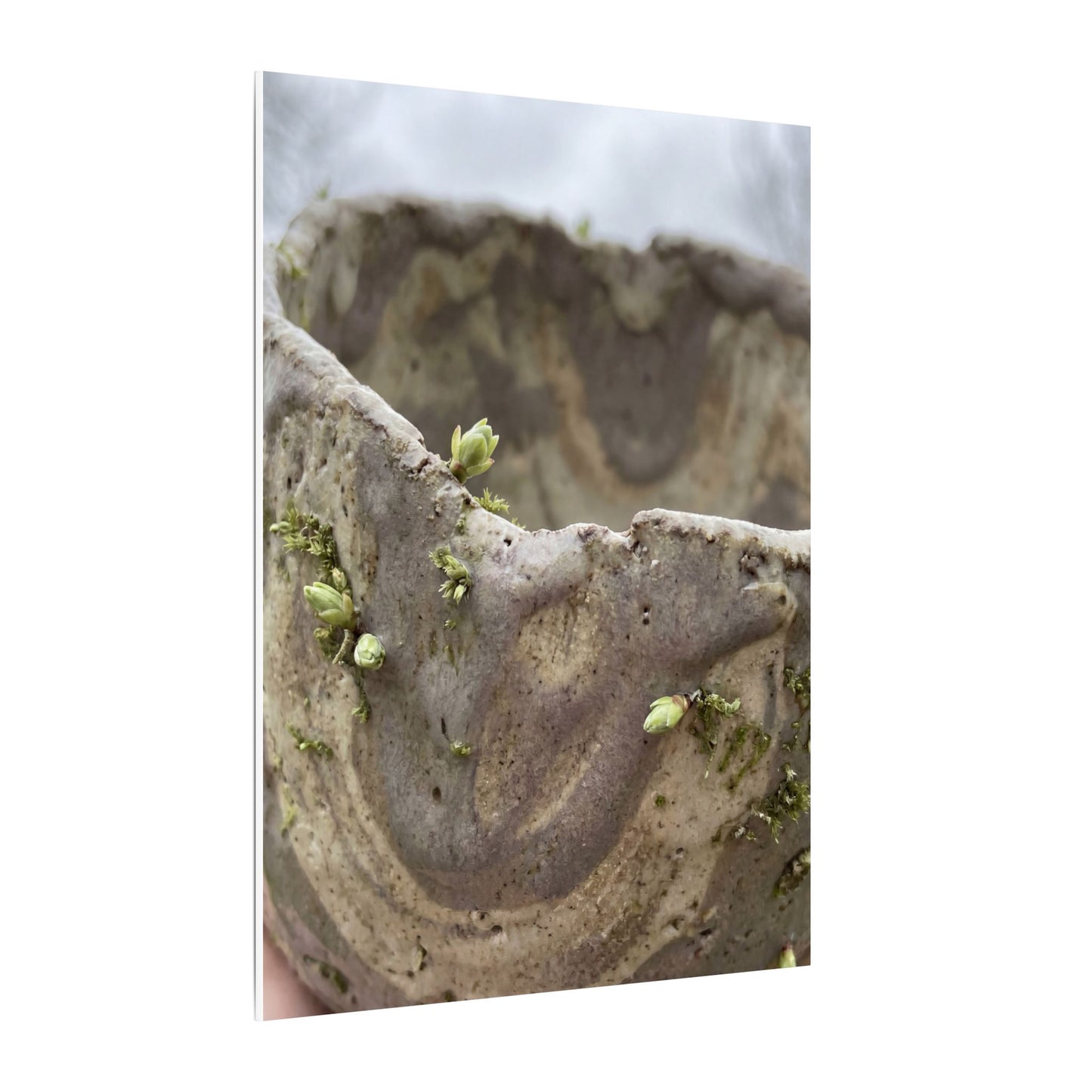 Overcast Ceramic Bowl Canvas Art - Japandi Fukinsei