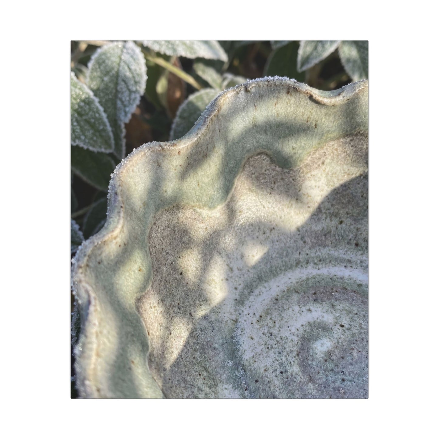 Dappled Ceramic Bowl Canvas Art - Japandi Seijaku