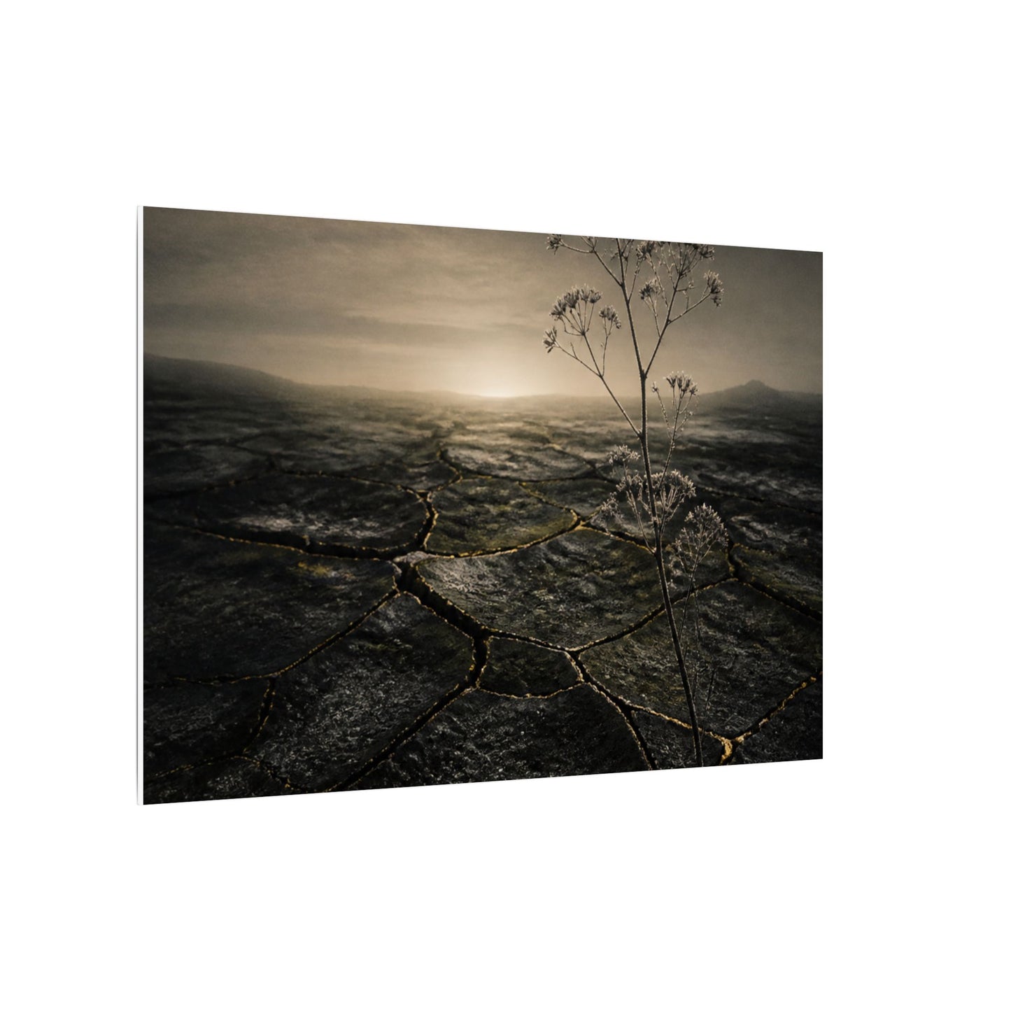 Dawn Cracked Earth Canvas Art - Dark Japandi Mono No Aware