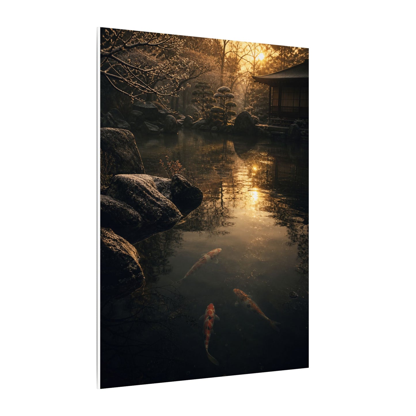 Winter Koi Pond Shadow Zen Canvas Art | Bold Decor